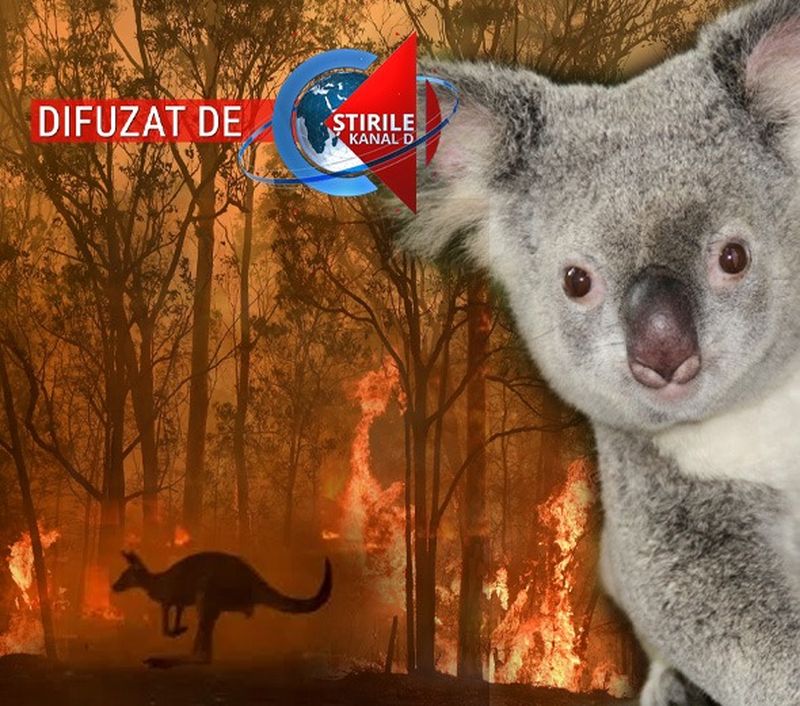 Povestea impresionantă a unui copil de doi. A fost decorat în locul tatălui său - un pompier ucis de flăcările din Australia