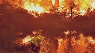 Un profesor rom&acirc;n din Sydney lansează o teorie explozivă legată de incendiul din Australia! De vină ar fi ecologiștii și guvernele!