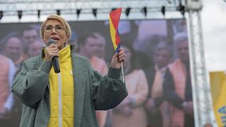 Raluca Turcan: &bdquo;&Icirc;n momentul de faţă nu cred că poate fi pusă problema pensionării obligatorii la 70 de ani&rdquo;