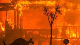 Incendiile din Australia au pârjolit o suprafaţă de 103.000 de kilometri pătraţi, mărimea Coreii de Sud