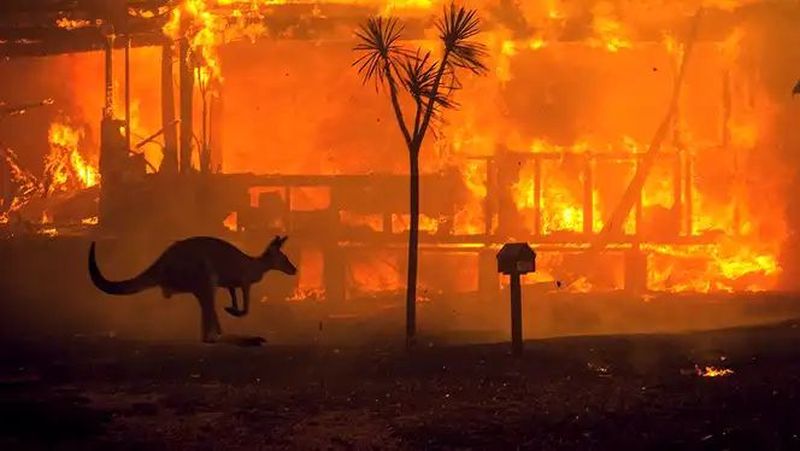 Povești incredibile spuse de ex-fotbalistul lui Bayern, care joacă în țara devastată de incendii: „Parcă aş fuma 50 de ţigări pe zi”