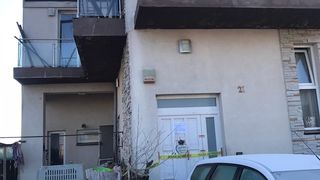 Cristina Țopescu își transformase spațiul din jurul vilei în adăpost pentru câini