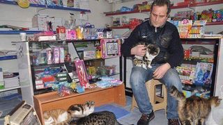 C&acirc;inii fără stăp&acirc;n adăpostiți la mall pe timp de noapte pentru a nu suferi de frig