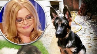 Adevărul despre câinii găsiți în locuința Cristinei Țopescu. Câte animale au murit și ce s-a întâmplat cu patrupedele care trăiesc | EXCLUSIV