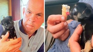 Povestea emoționantă a unui cățel de 5 săptăm&acirc;ni, abandonat &icirc;ntr-o pungă de plastic. Patrupedul pl&acirc;ngea și era acoperit de viermi