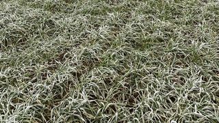 Grav accident rutier  &icirc;n Constanța după ce un microbuz s-a răsturnat, 11 persoane fiind rănite; două dintre ele sunt prinse sub autovehicul