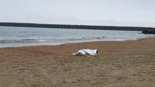 Trupul ne&icirc;nsuflețit al unui bărbat a fost descoperit pe o plajă din Constanța