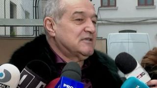 VIDEO | Gigi Becali cere justiției să fie reabilitat: &bdquo;Interdicțiile sunt de a alege și de a fi ales&rdquo;