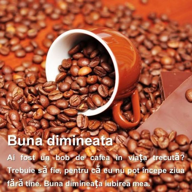 Mesaje de buna dimineata Mesaje de buna dimineata pentru prieteni Mesaje de buna dimineata pentru iubit Mesaje de buna dimineata imagini buna dimineata mesaje frumoase buna dimineata imagini buna dimineata mesaje haioase