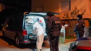 VIDEO | El e rom&acirc;nul care şi-a măcelărit soţia &icirc;n Austria! Nicolae este fratele unui cunoscut antrenor de fotbal!