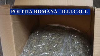 Constanţa: Doi soţi, prinşi &icirc;n flagrant după ce au ridicat de la o firmă de curierat un colet cu 7,6 kilograme de cannabis
