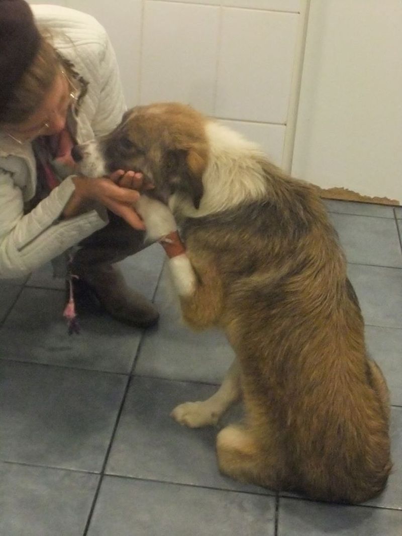 Informații de ultim moment din casa Cristinei Țopescu. Ce se va alege de apartamentul în care a murit jurnalista