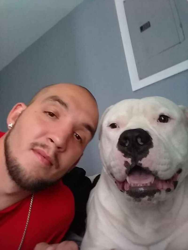 Gestul uimitor făcut de un bărbat pentru câinele său: și-a pus mașina la vânzare pentru a-i salva viața