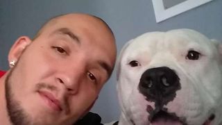 Gestul uimitor făcut de un bărbat pentru c&acirc;inele său: și-a pus mașina la v&acirc;nzare pentru a-i salva viața