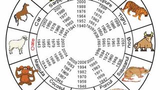 Horoscop chinezesc 2020 - Anul Nou Chinezesc 2020 - Anul Sobolanului de Metal