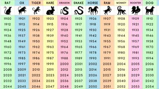 Horoscop chinezesc 2020 - Anul Nou Chinezesc 2020 - Anul Sobolanului de Metal