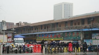 Carnea de şarpe, posibila sursă a noului coronavirus 2019‐nCoV, care provoacă forma letală de pneumonie din China