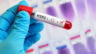 ROOM 12 MANAGEMENT SRL