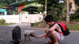El este copilul care și-a folosit toate economiile să hrănească animalele de pe stradă