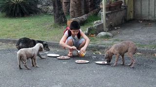 El este copilul care și-a folosit toate economiile să hrănească animalele de pe stradă