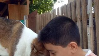 El este copilul care și-a folosit toate economiile să hrănească animalele de pe stradă