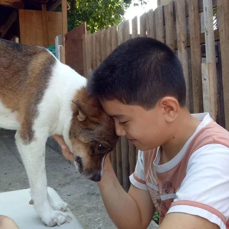 El este copilul care și-a folosit toate economiile să hrănească animalele de pe stradă