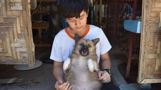 El este copilul care și-a folosit toate economiile să hrănească animalele de pe stradă