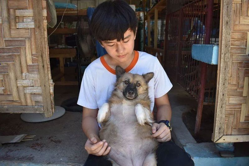 El este copilul care și-a folosit toate economiile să hrănească animalele de pe stradă