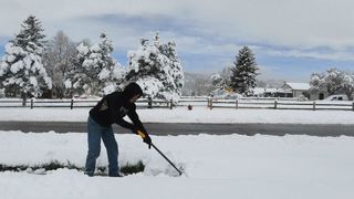 Ninge in Romania 2020 - Zapada in Rom&acirc;nia 2020