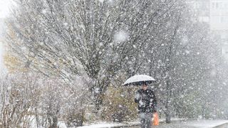 Ninge in Romania 2020 - Zapada in Rom&acirc;nia 2020