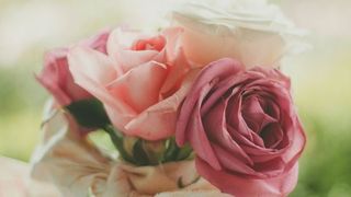 Mesaje de La mulți ani. Cele mai frumoase urări pentru cei dragi, într-o zi importantă pentru ei