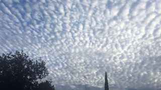 Semne care prevestec un cutremur. Cutremur Romania 2020