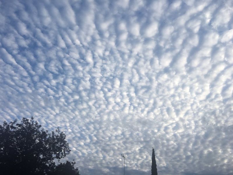 Semne care prevestec un cutremur. Cutremur Romania 2020