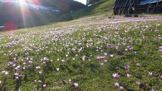 Vremea februarie 2020 - Prognoza meteo februarie 2020