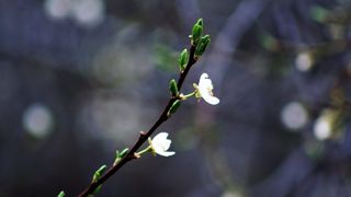 Vremea februarie 2020 - Prognoza meteo februarie 2020