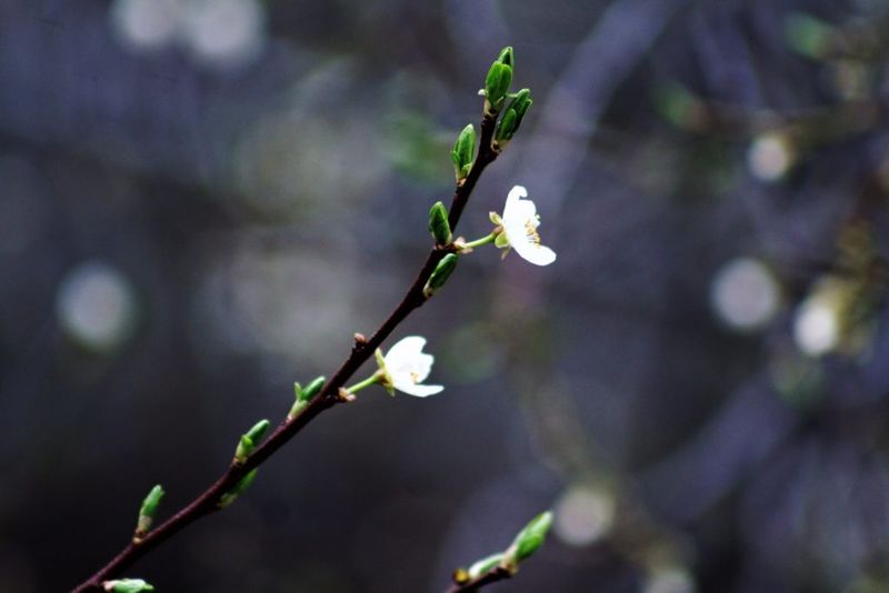 Vremea februarie 2020 - Prognoza meteo februarie 2020