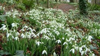 Vremea februarie 2020 - Prognoza meteo februarie 2020