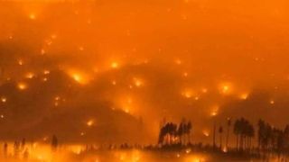 halep despre incendiile de vegetație