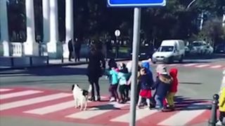 C&acirc;inele străzii protejează copiii