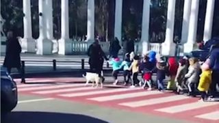 C&acirc;inele străzii protejează copiii