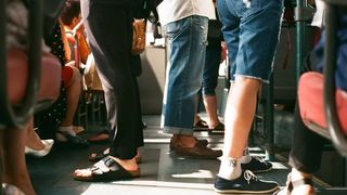 Ea este cățelușa care merge singură cu autobuzul p&acirc;nă la locul de joacă pentru c&acirc;ini