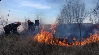 Incendiu de vegetație &icirc;n Delta Dunării