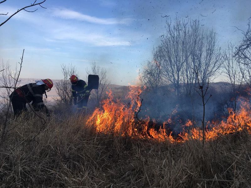 Incendiu de vegetație în Delta Dunării