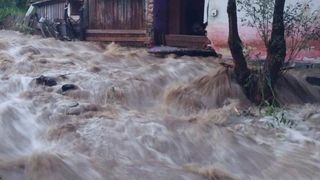 Cod galben de inundatii