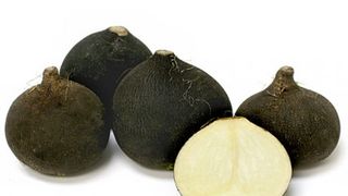 Suc de ridiche neagra -  Ridiche neagra beneficii - Ridiche neagra cu miere - Ridiche neagra contraindicatii