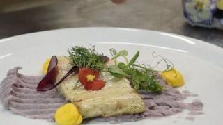 VIDEO | Rețetă inedită: File de crocodil cu piure de cartofi mov