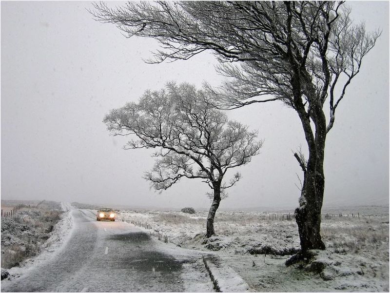 Ninsori în țară. Cod galben de vânt puternic, ploi şi ulterior ninsori