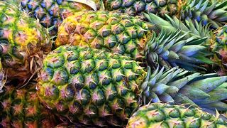 Ananas