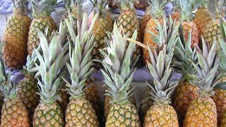 Ananas. Mulți măn&acirc;ncă acest fruct fără să știe ce este, de fapt. Adevărul incredibil despre ananas