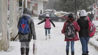 Școli închise 2020. Cursurile au fost suspendate în toate şcolile din Tulcea